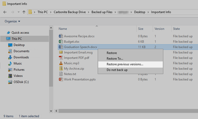 Carbonite Backup Drive: Restore Previous Version