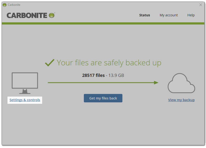 From the Carbonite interface, click Settings & Controls.