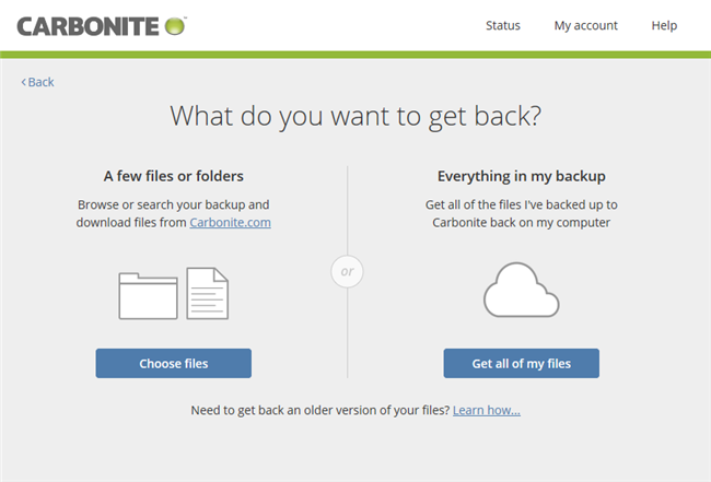 Carbonite application: Restore Options