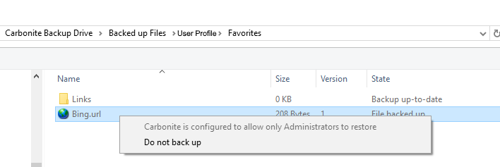 Windows Administrator Sample Screenshot
