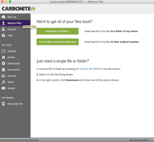Carbonite User Interface: File Recovery