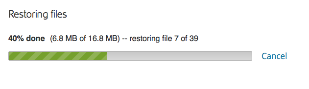 Carbonite User Interface: Restore Status