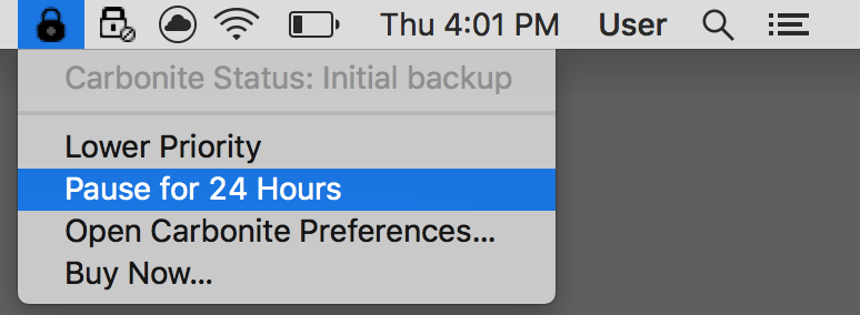 Lock Icon: Pause for 24 hours