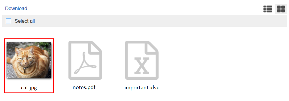 File selected in Anytime Anywhere Access