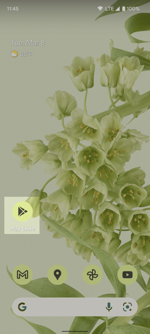 Open the Google Play Store