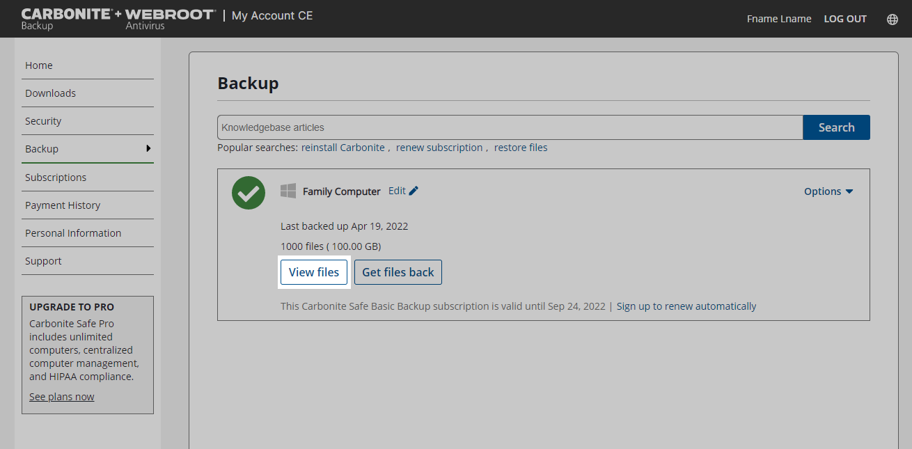 Carbonite Portal: View Files