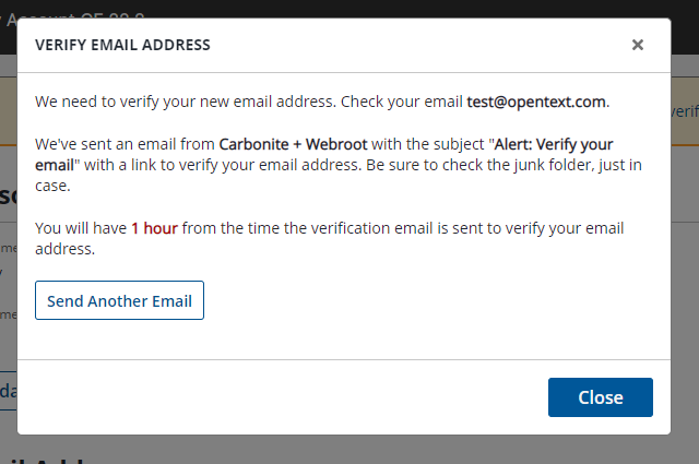 Verify Email Address