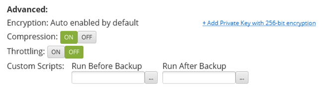 Advanced Backup Settings