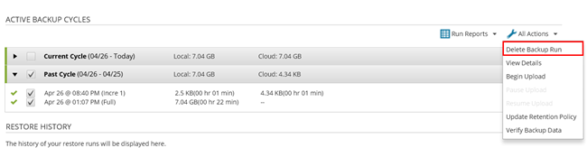 Delete Backup Run