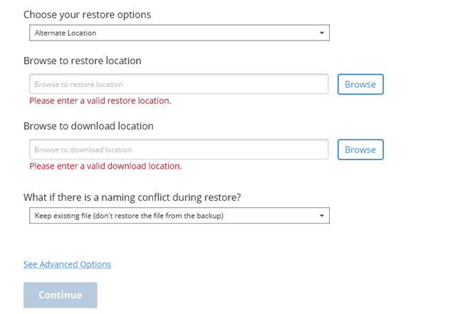 Restore Options