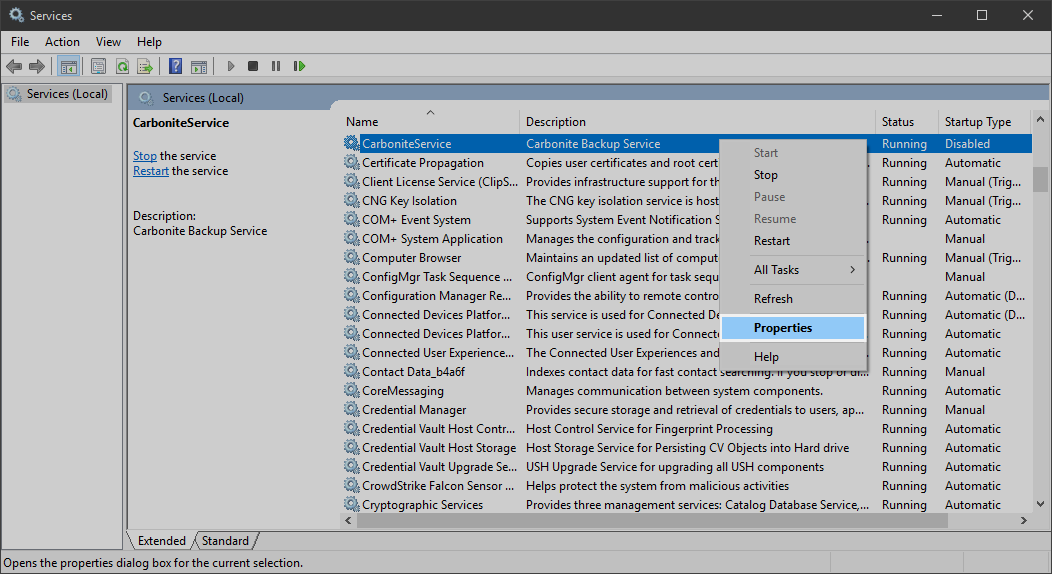 Services: Right-click the CarboniteService from the list and click Properties