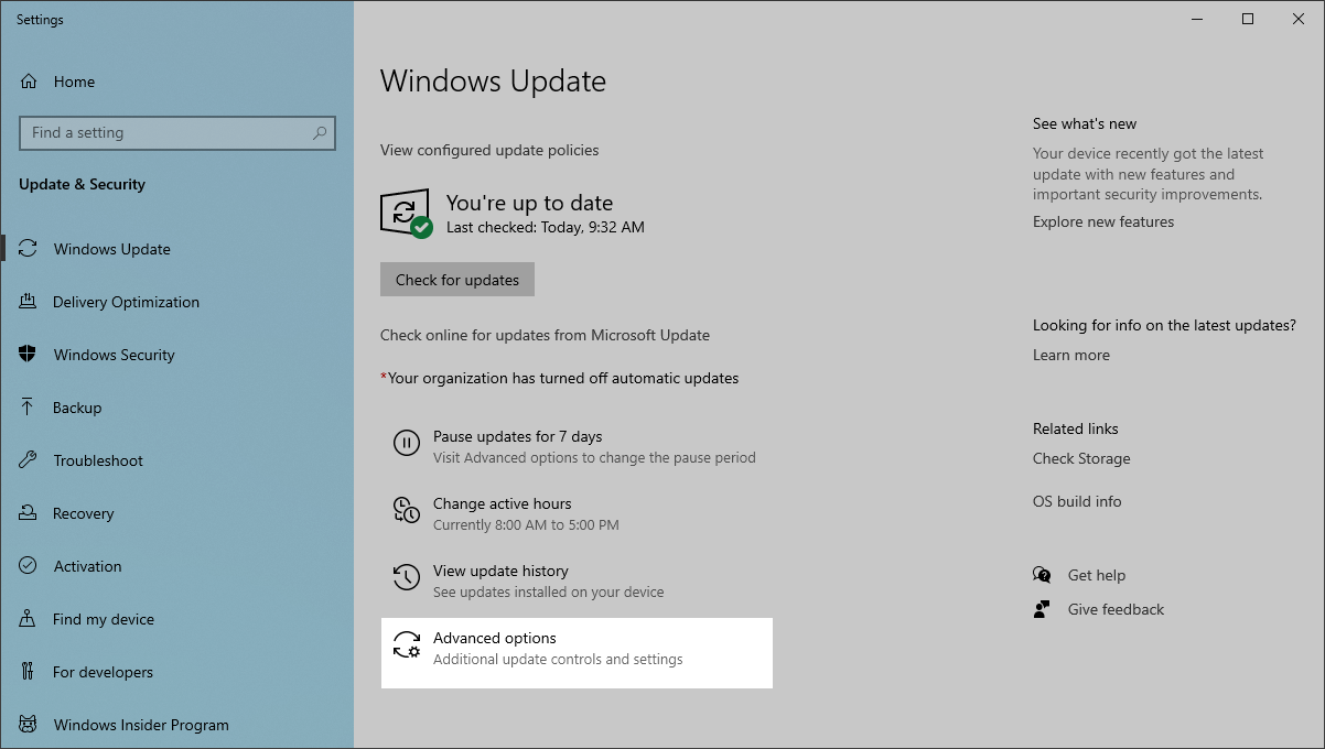 Windows 10 Update: Advanced options